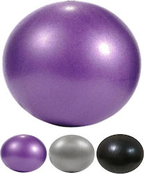 Optimum Mini Μπάλα Pilates 25cm Optimum Mini Μπάλα Pilates 25cm