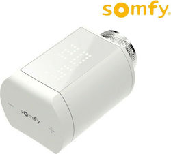 Somfy IO Electronic Thermostatic Radiator Valve with Wi-Fi for Radiator Body