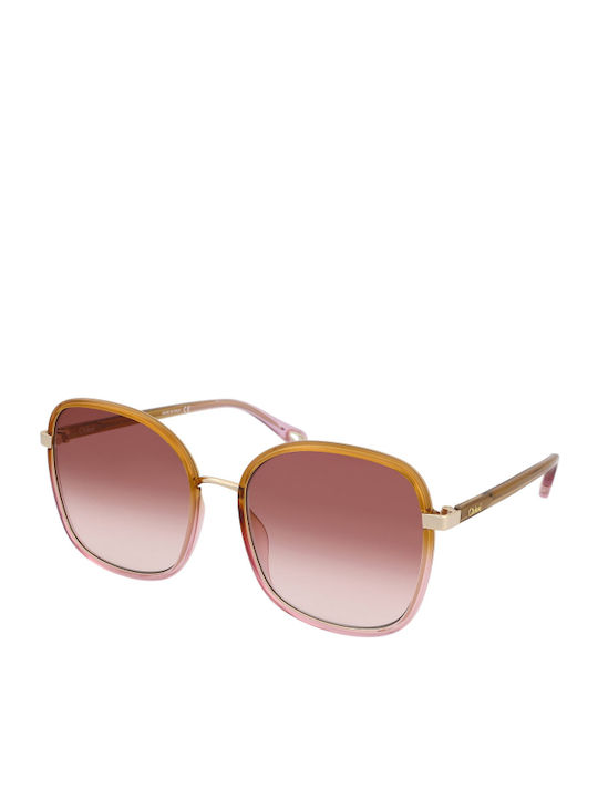 Chloe Franky Women's Sunglasses with Brown Acetate Frame CH0031S 002
