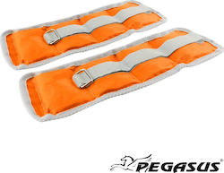 Pegasus Β-2112 Wrist & Ankle Weights 2 x 0.5kg Adjustable