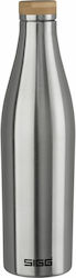 Sigg Meridian Brushed 500ml Argintiu Sigg Meridian Brushed 500ml Argintiu