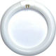 Com Fluorescent Lamp with Shape T9 40W