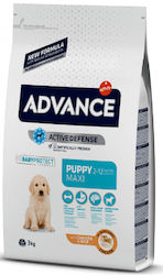 Affinity Advance Puppy Maxi 3kg Ξηρά Τροφή για Κουτάβια Μεγαλόσωμων Φυλών με Κοτόπουλο και Ρύζι