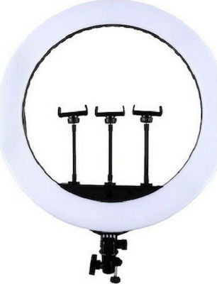 Ring Light Jmary FM-14R 35.5cm με Βάση για Κινητό