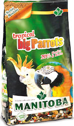Manitoba Tropical Big Parrots Τροφή 2kg Manitoba Tropical Big Parrots Τροφή 2kg