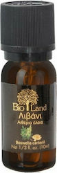 Bio Land Organic Essential Oil Frankincense 10ml