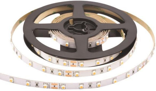 Eurolamp LED Strip 12V Cold White Light 5m Type SMD3528