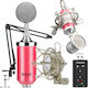 Next Condenser (Large Diaphragm) XLR Microphone...