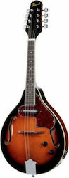 Ibanez M510E-BS Electric Mandolin