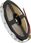 GloboStar 800 Lm M 120° LED Strip Power Supply 24V with Blue Light Length 5m and 60 LEDs per Meter SMD5050