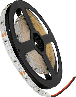 GloboStar Bandă LED Alimentare 24V cu Lumină Roșu Lungime 5m și 120 LED-uri pe Metru SMD2835