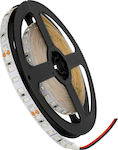 GloboStar LED Strip Power Supply 24V with Blue Light Length 5m and 120 LEDs per Meter SMD2835