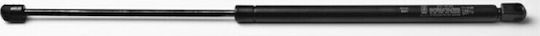 Fa Krosno Kofferraum-Schock für Citroen C3 Nissan Micra 2002-2009