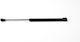 Fa Krosno Trunk Shock for Renault Grand Scenic / Scenic II