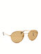 Raen Aliso Sunglasses with Rose Gold Metal Frame and Brown Lens