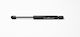 Fa Krosno Trunk Shock for Ford Focus II