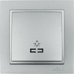 Mono Electric Buton Scara cu Cadru Iluminat în culoarea Argintiu 505-002136106