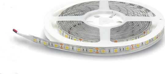 Lucas Αδιάβροχη Ταινία LED 12V Μπλε Φως 5m Τύπου SMD5050