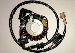 Piaggio Coils Motorcycle 58070R