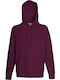 Fruit of the Loom Lightweight Ανδρικό Διαφημιστικό Φούτερ Burgundy