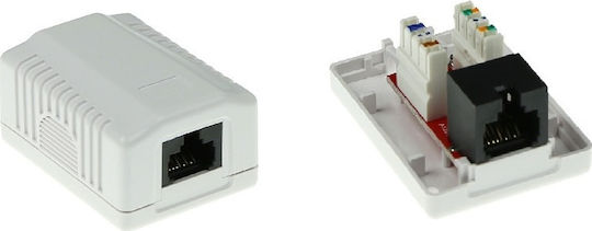Intronics Einzeln Externe Netzwerksteckdose RJ45 Cat5 in Weiß Farbe FA5003