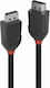 Lindy Cable DisplayPort male - DisplayPort male 2m Black (36492)