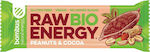 Bombus Βιολογική Μπάρα Ενέργειας / Raw με Φυστίκι & Κακάο Χωρίς Προσθήκη Ζάχαρης 50gr