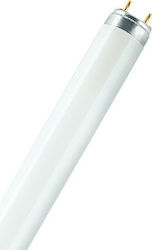 Ledvance Λάμπα Φθορίου για Ντουί G13 με Σχήμα T8 58W 1500mm