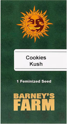 Barneys - Cookies Kush - 1 seed