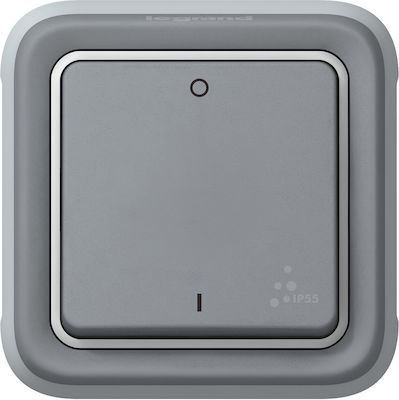 Legrand Plexo Recessed Electrical Lighting Wall Switch no Frame Basic Waterproof Gray 069530