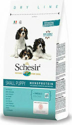 Schesir Small Puppy 2kg Trockenfutter für Welpen kleiner Rassen mit Huhn und Reis