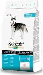 Schesir Medium Adult 3kg Dry Food for Adult Dogs of Medium Breeds with Fish