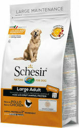 Schesir Adult Large 12kg Ξηρά Τροφή για Ενήλικους Σκύλους Μεγαλόσωμων Φυλών με Κοτόπουλο