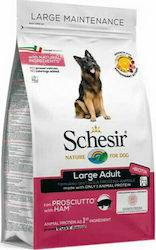Schesir Adult Large 12kg
