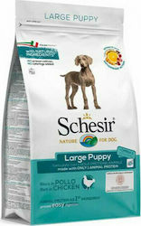 Schesir Large Puppy 12kg Schesir Large Puppy 12kg