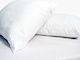 Palatex Hotel Pillow Antiallergic 50x80cm. 1pcs