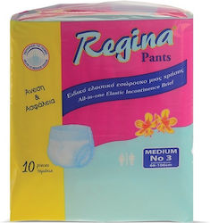 Regina All In One Πάνες Βρακάκι Medium 10τμχ