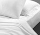 Palatex Hotel Pillowcase Striped 50x70cm.