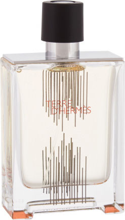 Hermes Terre d´Hermès Flacon H 2021 Eau de Toilette 100ml