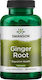 Swanson Ginger Root 540mg Special Food Supplement 100 Capsules