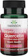 Swanson Resveratrol & Quercetin Special Food Supplement 30 Vegetable Capsules