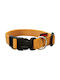 Pet Interest Plain Line Dog Collar in Gold Colour XSmall 10mm x 19 - 33cm