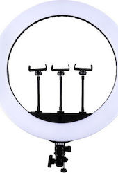 Jmary FM-21R Ring Light 54cm cu Suport pentru Mobil