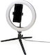 Jmary Jmary F-532A Ring Light 26cm with Desktop Tripod and Mobile Phone Holder