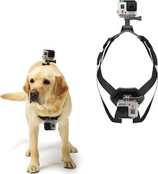 Dog Harness (2 cameras) Dog Support Base Universal