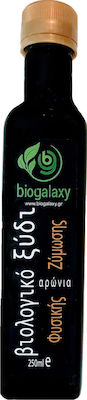 Biogalaxy Κόκκινο Ξίδι Βιολογικό με Αρώνια 250ml