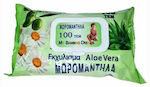 Phytogene με Aloe Vera Baby Wipes with Aloe Vera 100pcs