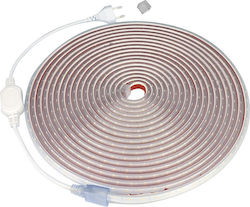 Adeleq Waterproof LED Strip 220V with Natural White Light 10m