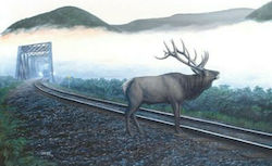 Dan Christ - Elk Tracks Puzzle 2D 550pcs