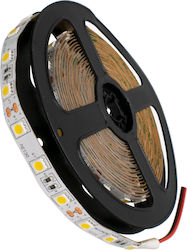 GloboStar Bandă LED Alimentare 12V cu Lumină Alb Cald Lungime 5m și 60 LED-uri pe Metru SMD5050